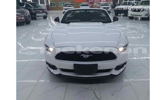 Buy Import Ford Mustang White Car in Import - Dubai in Aragatsotn Buy Import Ford Mustang White Car in Import - Dubai in Aragatsotn