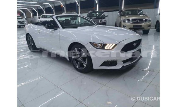 Buy Import Ford Mustang White Car in Import - Dubai in Aragatsotn Buy Import Ford Mustang White Car in Import - Dubai in Aragatsotn