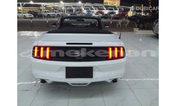 Buy Import Ford Mustang White Car in Import - Dubai in Aragatsotn Buy Import Ford Mustang White Car in Import - Dubai in Aragatsotn
