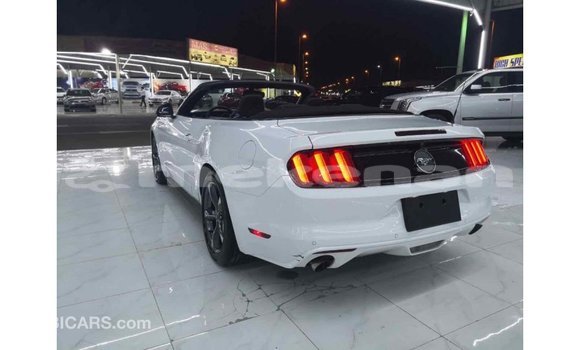 Buy Import Ford Mustang White Car in Import - Dubai in Aragatsotn Buy Import Ford Mustang White Car in Import - Dubai in Aragatsotn