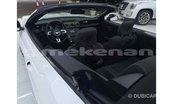 Buy Import Ford Mustang White Car in Import - Dubai in Aragatsotn Buy Import Ford Mustang White Car in Import - Dubai in Aragatsotn
