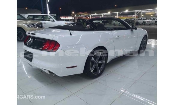 Buy Import Ford Mustang White Car in Import - Dubai in Aragatsotn