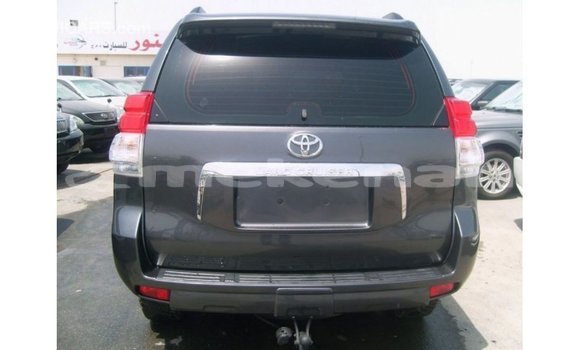 Buy Import Toyota Prado Other Car in Import - Dubai in Aragatsotn Buy Import Toyota Prado Other Car in Import - Dubai in Aragatsotn