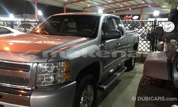 Buy Import Chevrolet Silverado Other Car in Import - Dubai in Aragatsotn Buy Import Chevrolet Silverado Other Car in Import - Dubai in Aragatsotn