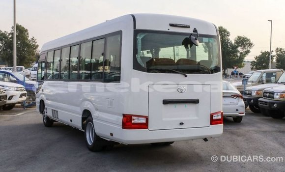 Buy Import Toyota Coaster White Car in Import - Dubai in Aragatsotn Buy Import Toyota Coaster White Car in Import - Dubai in Aragatsotn