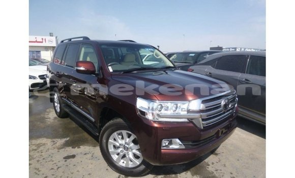 Buy Import Toyota Land Cruiser Brown Car in Import - Dubai in Aragatsotn Buy Import Toyota Land Cruiser Brown Car in Import - Dubai in Aragatsotn