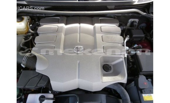 Buy Import Toyota Land Cruiser Red Car in Import - Dubai in Aragatsotn Buy Import Toyota Land Cruiser Red Car in Import - Dubai in Aragatsotn