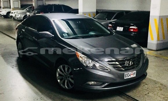 Buy Used Hyundai Sonata Other Car in Yerevan in Yerevan
