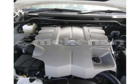 Buy Import Toyota Land Cruiser White Car in Import - Dubai in Aragatsotn Buy Import Toyota Land Cruiser White Car in Import - Dubai in Aragatsotn