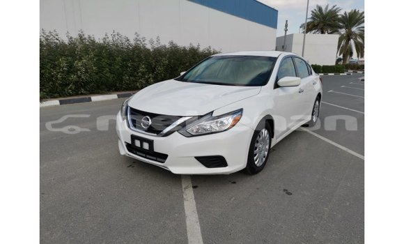 Buy Import Nissan Altima White Car in Import - Dubai in Aragatsotn Buy Import Nissan Altima White Car in Import - Dubai in Aragatsotn