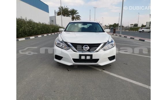 Buy Import Nissan Altima White Car in Import - Dubai in Aragatsotn Buy Import Nissan Altima White Car in Import - Dubai in Aragatsotn