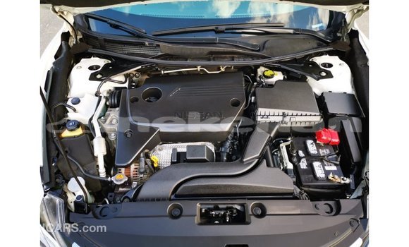 Buy Import Nissan Altima White Car in Import - Dubai in Aragatsotn Buy Import Nissan Altima White Car in Import - Dubai in Aragatsotn