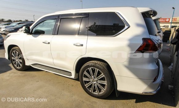 Buy Import Lexus LX White Car in Import - Dubai in Aragatsotn