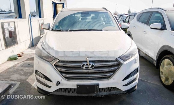 Buy Import Hyundai Tucson White Car in Import - Dubai in Aragatsotn Buy Import Hyundai Tucson White Car in Import - Dubai in Aragatsotn