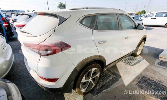 Buy Import Hyundai Tucson White Car in Import - Dubai in Aragatsotn Buy Import Hyundai Tucson White Car in Import - Dubai in Aragatsotn
