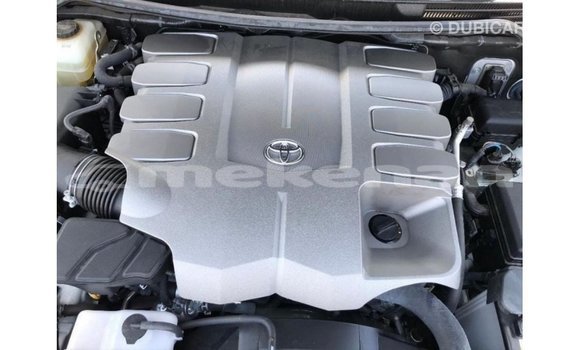 Buy Import Toyota Land Cruiser White Car in Import - Dubai in Aragatsotn Buy Import Toyota Land Cruiser White Car in Import - Dubai in Aragatsotn