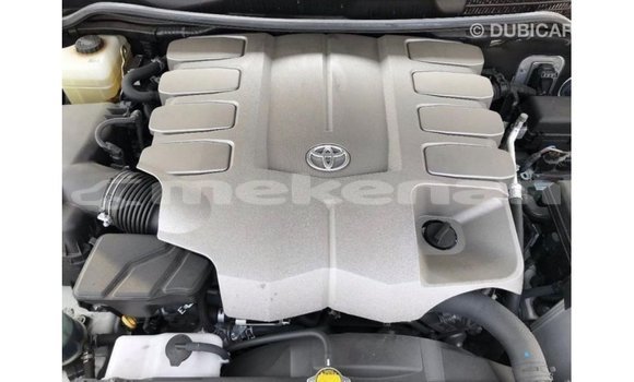 Buy Import Toyota Land Cruiser White Car in Import - Dubai in Aragatsotn Buy Import Toyota Land Cruiser White Car in Import - Dubai in Aragatsotn