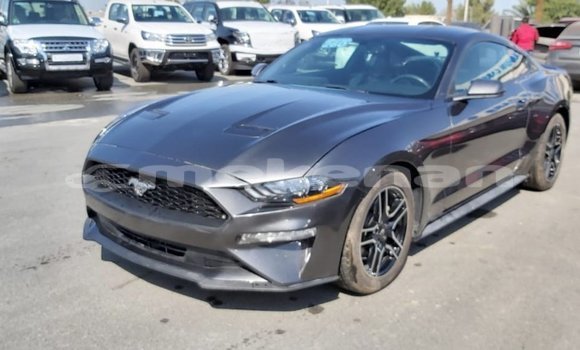 Buy Import Ford Mustang Other Car in Import - Dubai in Aragatsotn Buy Import Ford Mustang Other Car in Import - Dubai in Aragatsotn