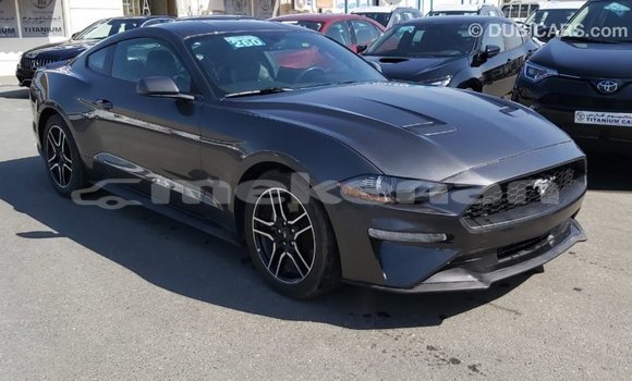 Buy Import Ford Mustang Other Car in Import - Dubai in Aragatsotn Buy Import Ford Mustang Other Car in Import - Dubai in Aragatsotn
