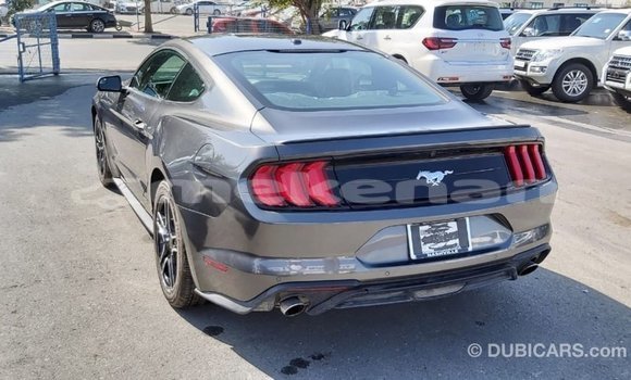 Buy Import Ford Mustang Other Car in Import - Dubai in Aragatsotn Buy Import Ford Mustang Other Car in Import - Dubai in Aragatsotn