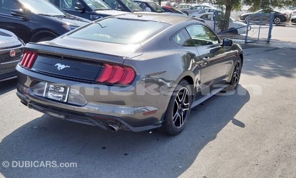 Buy Import Ford Mustang Other Car in Import - Dubai in Aragatsotn Buy Import Ford Mustang Other Car in Import - Dubai in Aragatsotn