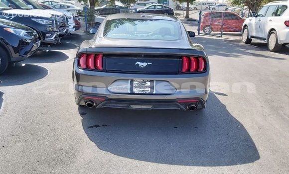 Buy Import Ford Mustang Other Car in Import - Dubai in Aragatsotn Buy Import Ford Mustang Other Car in Import - Dubai in Aragatsotn