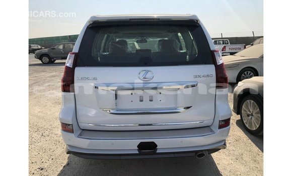 Buy Import Lexus GX White Car in Import - Dubai in Aragatsotn Buy Import Lexus GX White Car in Import - Dubai in Aragatsotn