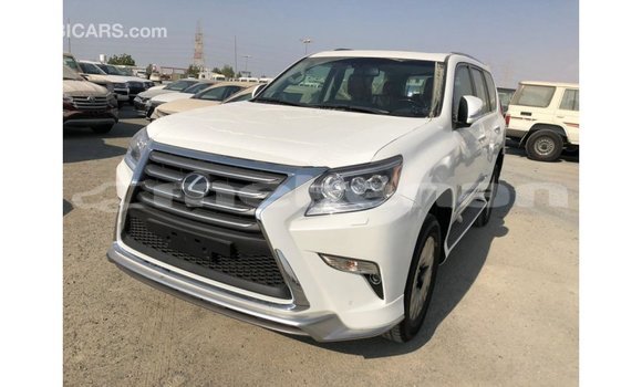 Buy Import Lexus GX White Car in Import - Dubai in Aragatsotn