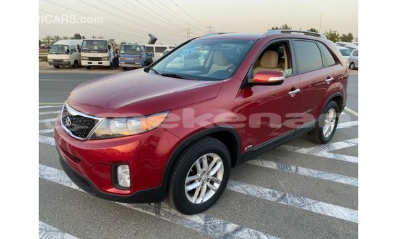 Buy Import Kia Sorento Red Car in Import - Dubai in Aragatsotn Buy Import Kia Sorento Red Car in Import - Dubai in Aragatsotn