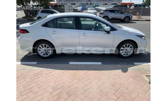 Buy Import Toyota Corolla White Car in Import - Dubai in Aragatsotn Buy Import Toyota Corolla White Car in Import - Dubai in Aragatsotn