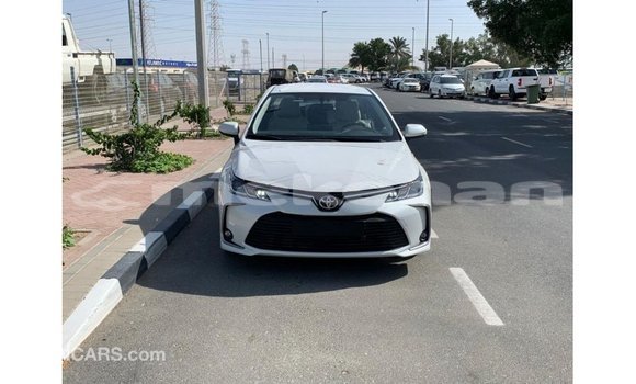 Buy Import Toyota Corolla White Car in Import - Dubai in Aragatsotn Buy Import Toyota Corolla White Car in Import - Dubai in Aragatsotn