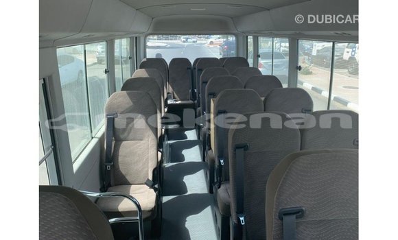 Buy Import Toyota Coaster White Car in Import - Dubai in Aragatsotn Buy Import Toyota Coaster White Car in Import - Dubai in Aragatsotn
