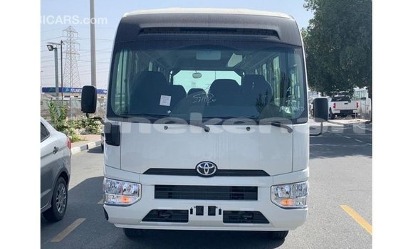 Buy Import Toyota Coaster White Car in Import - Dubai in Aragatsotn Buy Import Toyota Coaster White Car in Import - Dubai in Aragatsotn