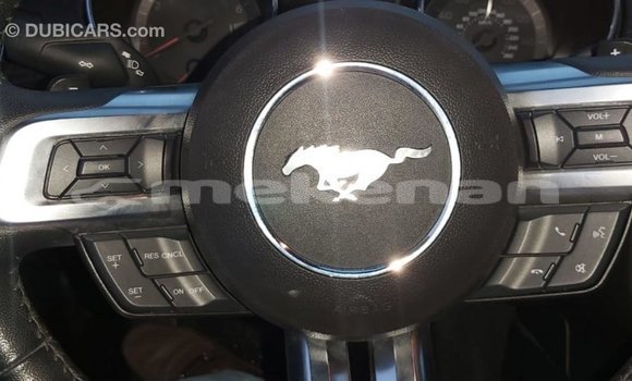 Buy Import Ford Mustang Red Car in Import - Dubai in Aragatsotn Buy Import Ford Mustang Red Car in Import - Dubai in Aragatsotn