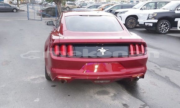 Buy Import Ford Mustang Red Car in Import - Dubai in Aragatsotn Buy Import Ford Mustang Red Car in Import - Dubai in Aragatsotn