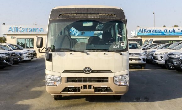 Buy Import Toyota Coaster White Car in Import - Dubai in Aragatsotn Buy Import Toyota Coaster White Car in Import - Dubai in Aragatsotn