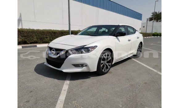 Buy Import Nissan Maxima White Car in Import - Dubai in Aragatsotn Buy Import Nissan Maxima White Car in Import - Dubai in Aragatsotn