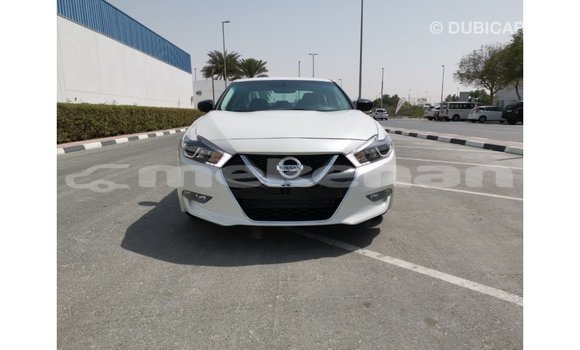 Buy Import Nissan Maxima White Car in Import - Dubai in Aragatsotn Buy Import Nissan Maxima White Car in Import - Dubai in Aragatsotn