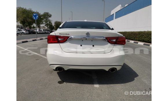 Buy Import Nissan Maxima White Car in Import - Dubai in Aragatsotn Buy Import Nissan Maxima White Car in Import - Dubai in Aragatsotn