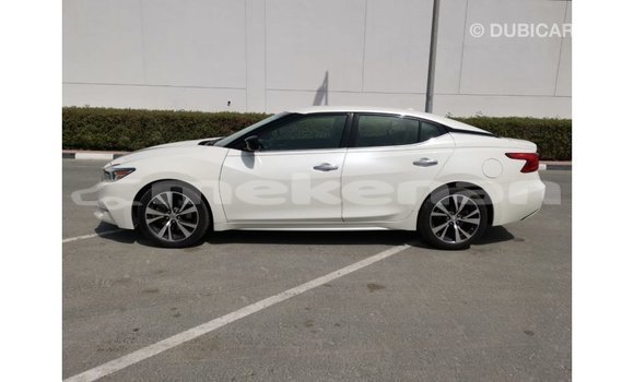 Buy Import Nissan Maxima White Car in Import - Dubai in Aragatsotn Buy Import Nissan Maxima White Car in Import - Dubai in Aragatsotn
