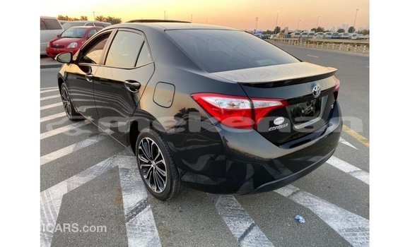 Buy Import Toyota Corolla Black Car in Import - Dubai in Aragatsotn Buy Import Toyota Corolla Black Car in Import - Dubai in Aragatsotn