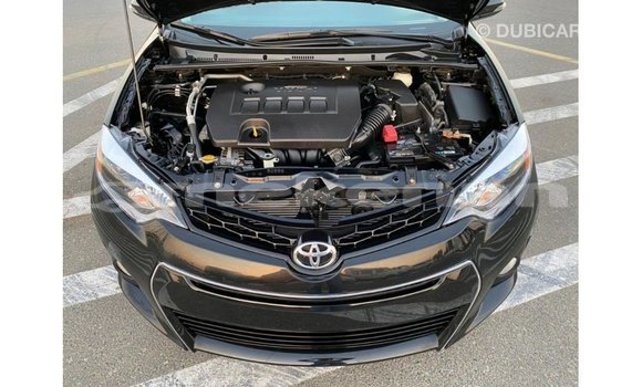 Buy Import Toyota Corolla Black Car in Import - Dubai in Aragatsotn Buy Import Toyota Corolla Black Car in Import - Dubai in Aragatsotn