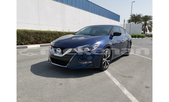 Buy Import Nissan Maxima Blue Car in Import - Dubai in Aragatsotn Buy Import Nissan Maxima Blue Car in Import - Dubai in Aragatsotn