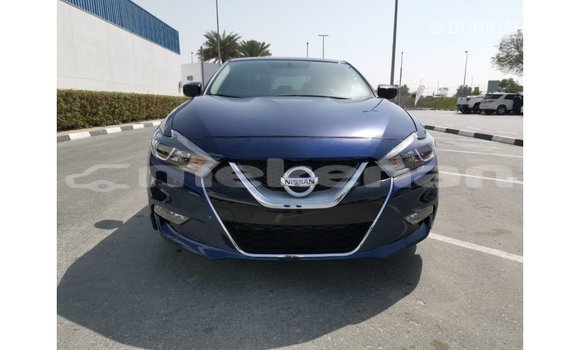 Buy Import Nissan Maxima Blue Car in Import - Dubai in Aragatsotn Buy Import Nissan Maxima Blue Car in Import - Dubai in Aragatsotn