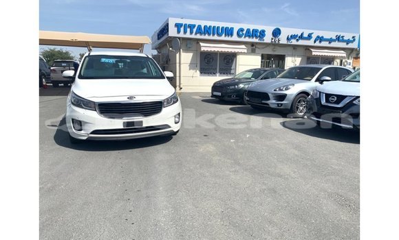 Buy Import Kia Carnival White Car in Import - Dubai in Aragatsotn Buy Import Kia Carnival White Car in Import - Dubai in Aragatsotn