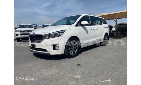 Buy Import Kia Carnival White Car in Import - Dubai in Aragatsotn Buy Import Kia Carnival White Car in Import - Dubai in Aragatsotn