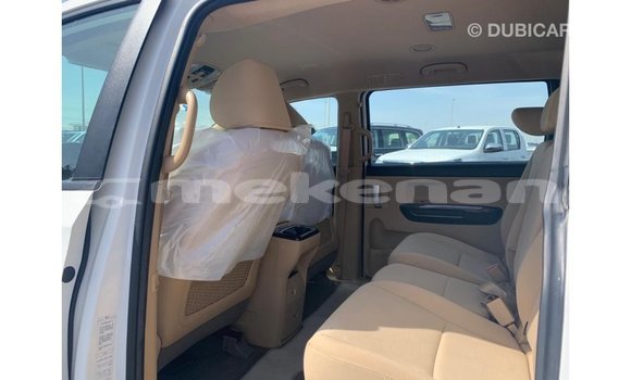 Buy Import Kia Carnival White Car in Import - Dubai in Aragatsotn Buy Import Kia Carnival White Car in Import - Dubai in Aragatsotn