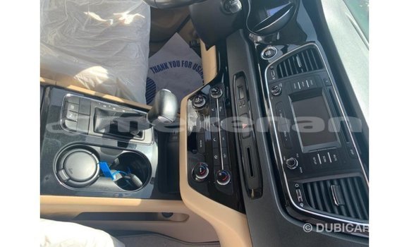 Buy Import Kia Carnival White Car in Import - Dubai in Aragatsotn Buy Import Kia Carnival White Car in Import - Dubai in Aragatsotn