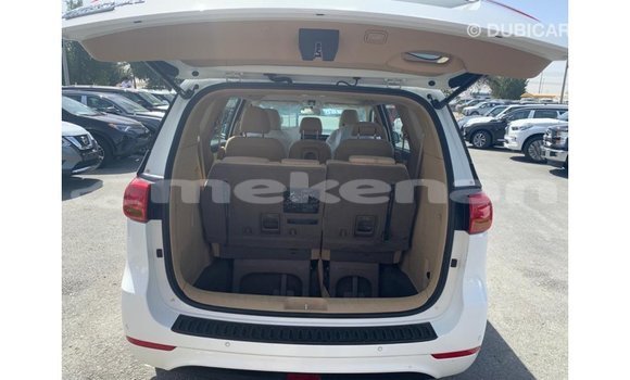 Buy Import Kia Carnival White Car in Import - Dubai in Aragatsotn Buy Import Kia Carnival White Car in Import - Dubai in Aragatsotn