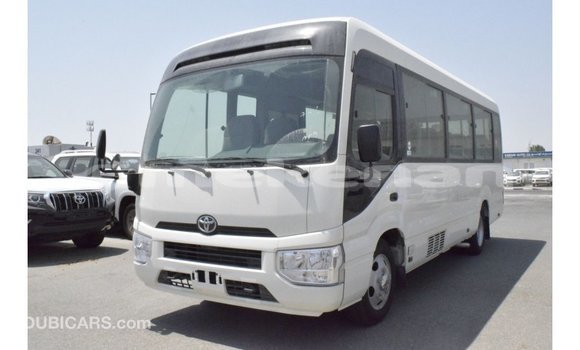 Buy Import Toyota Coaster White Car in Import - Dubai in Aragatsotn Buy Import Toyota Coaster White Car in Import - Dubai in Aragatsotn